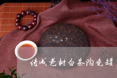 传成老树白茶陶瓷罐/2023121632717