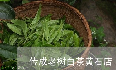 传成老树白茶黄石店/2023121652503