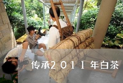 传承2011年白茶/2023121542824