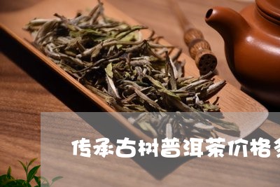 传承古树普洱茶价格多少/2023050709582