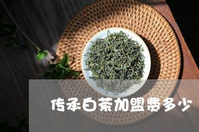 传承白茶加盟费多少/2023081283826