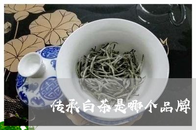 传承白茶是哪个品牌/2023121691603