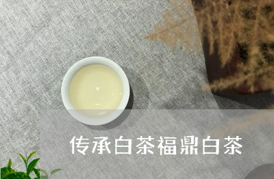 传承白茶福鼎白茶/2023061488482