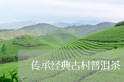 传承经典古村普洱茶/2023120522795