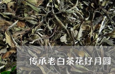 传承老白茶花好月圆/2023081253646