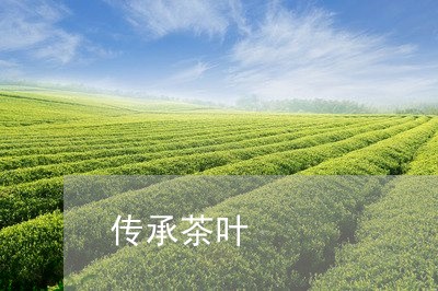 传承茶叶/2023121967151