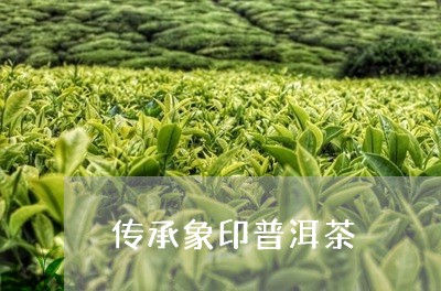 传承象印普洱茶/2023081807471