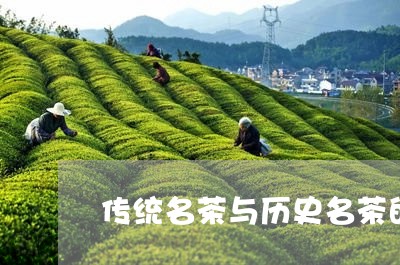 传统名茶与历史名茶的/2023092035815