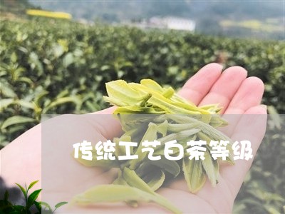 传统工艺白茶等级/2023061418170