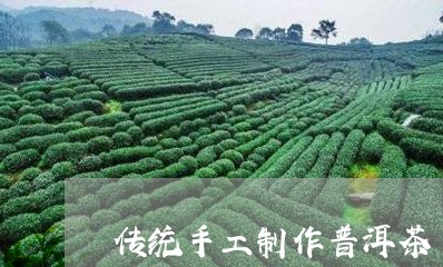 传统手工制作普洱茶/2023070869705