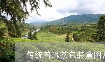 传统普洱茶包装盒图片高清/2023082852624