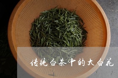 传统白茶中的大白花/2023081211737