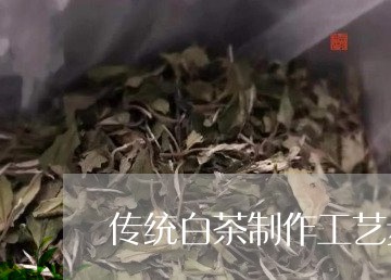 传统白茶制作工艺步骤/2023092778693