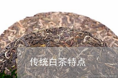 传统白茶特点/2023051297161