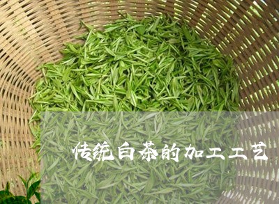 传统白茶的加工工艺/2023121635068