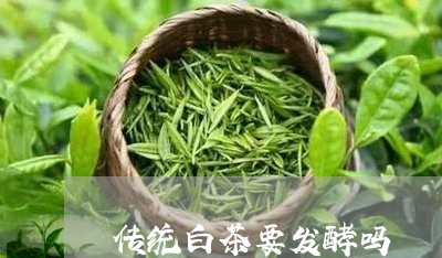 传统白茶要发酵吗/2023061497149