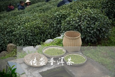 传袭普洱茶/2023090669482