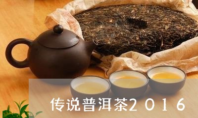 传说普洱茶2016/2023091449406