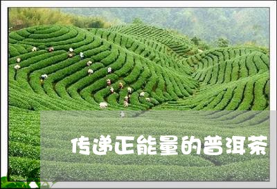 传递正能量的普洱茶/2023121377159