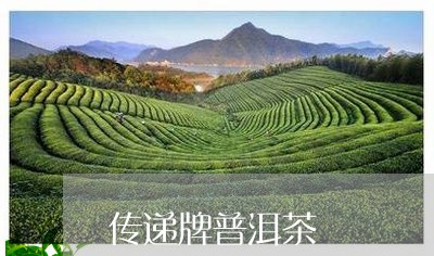 传递牌普洱茶/2023042769597