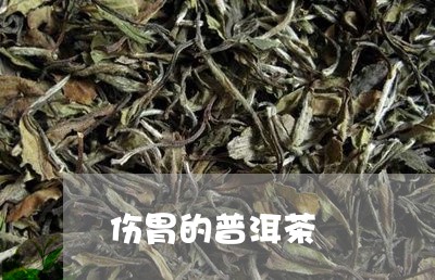 伤胃的普洱茶/2023042713392