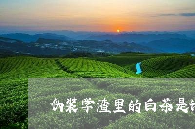 伪装学渣里的白茶是谁/2023092782836