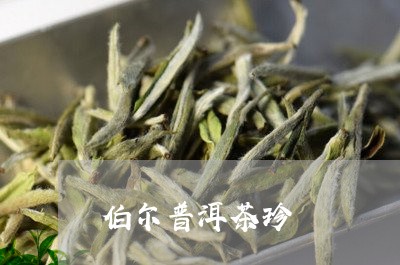 伯尔普洱茶珍/2023091330391