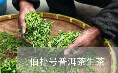 伯朴号普洱茶生茶/2023081658480