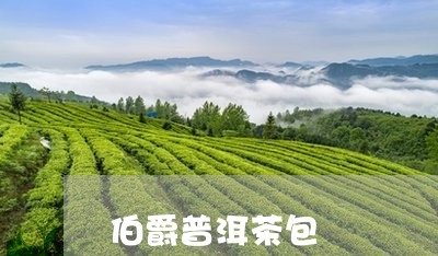 伯爵普洱茶包/2023112617249