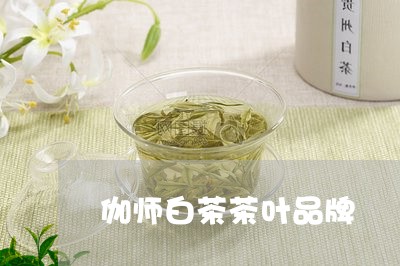 伽师白茶茶叶品牌/2023061438593