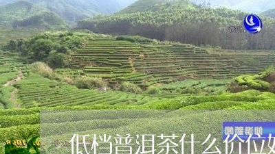 低档普洱茶什么价位好卖/2023121351684