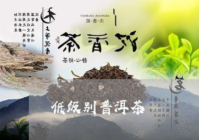 低级别普洱茶/2023042604608