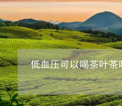 低血压可以喝茶叶茶吗/2023092334915