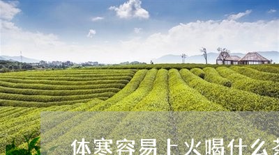 体寒容易上火喝什么茶/2023071359481