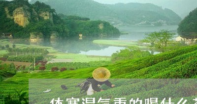 体寒湿气重的喝什么茶/2023071383968