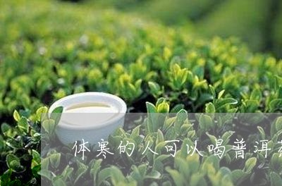 体寒的人可以喝普洱茶么/2023103171404