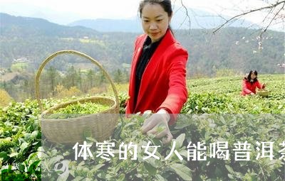 体寒的女人能喝普洱茶/2023061700726