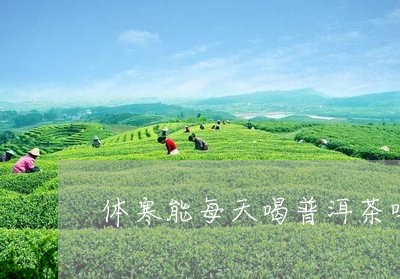 体寒能每天喝普洱茶吗/2023092760515