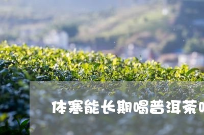 体寒能长期喝普洱茶吗/2023093078350