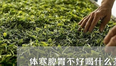 体寒脾胃不好喝什么茶/2023060888383