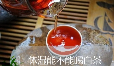 体湿能不能喝白茶/2023061484847