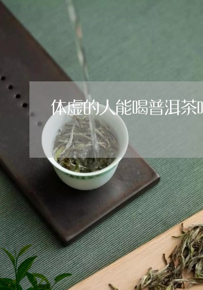 体虚的人能喝普洱茶吗/2023072366140