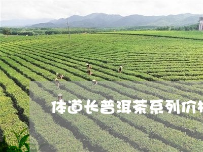 体道长普洱茶系列价格/2023062407169