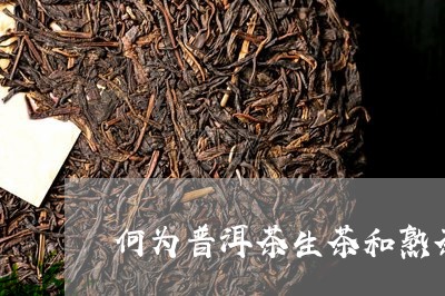 何为普洱茶生茶和熟茶/2023062809480