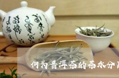 何为普洱茶的茶水分离/2023073036248