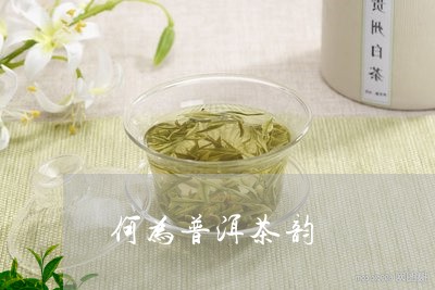 何为普洱茶韵/2023042695276