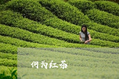 何为红茶/2023090175936