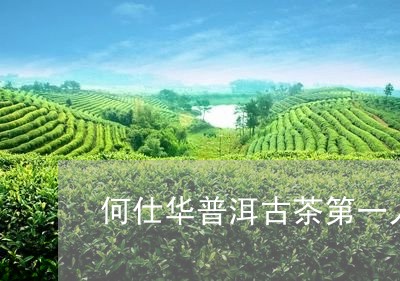 何仕华普洱古茶第一人/2023092573148