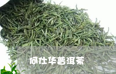 何仕华普洱茶/2023042917750