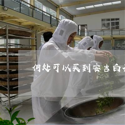 何处可以买到安吉白茶/2023092752714